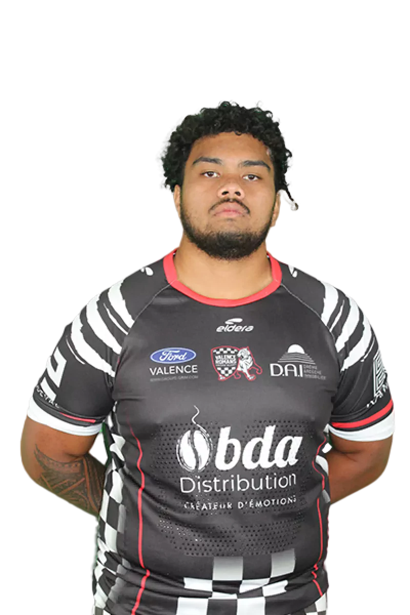 Filitikakaitakatuu WENDT